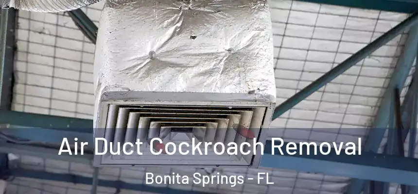 Air Duct Cockroach Removal Bonita Springs - FL