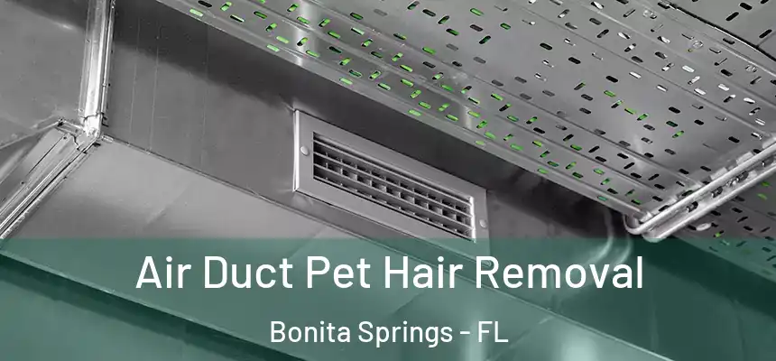  Air Duct Pet Hair Removal Bonita Springs - FL