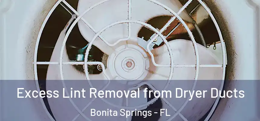  Excess Lint Removal from Dryer Ducts Bonita Springs - FL