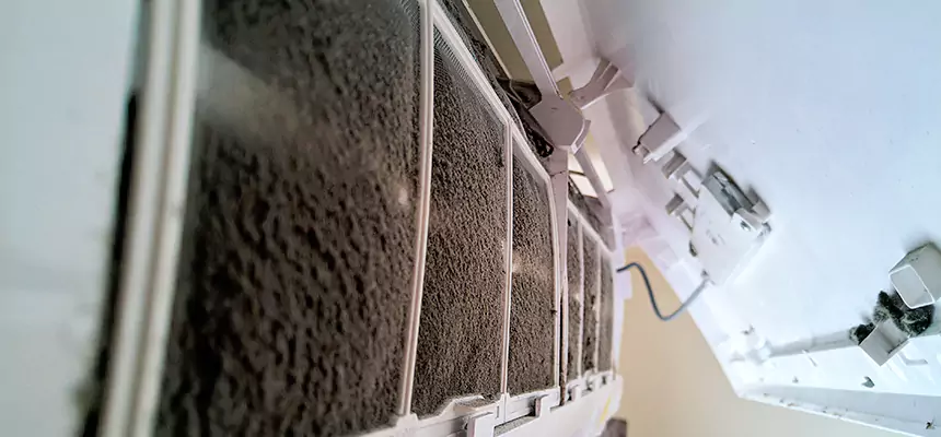 Preventive Air Duct Bacteria Removal in Bonita Springs