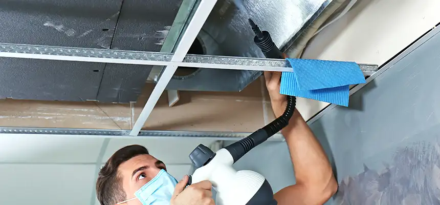 Our Air Duct Rodent Removal Services in Bonita Springs, FL