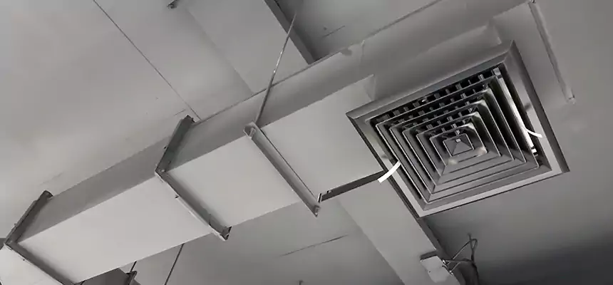 Our Rodent Droppings In Vents Services in Bonita Springs, FL