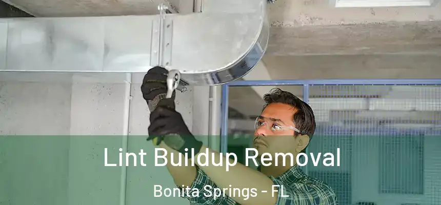  Lint Buildup Removal Bonita Springs - FL