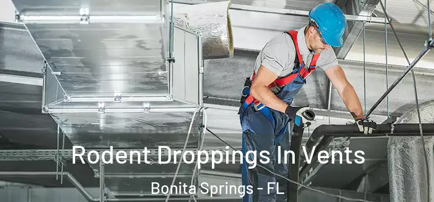  Rodent Droppings In Vents Bonita Springs - FL