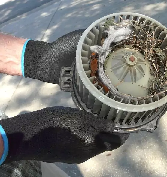 About Air Duct Rat Removal in Bonita Springs, FL