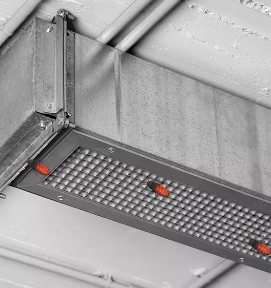 Affordable Insect Removal from Air Ducts in Bonita Springs, FL