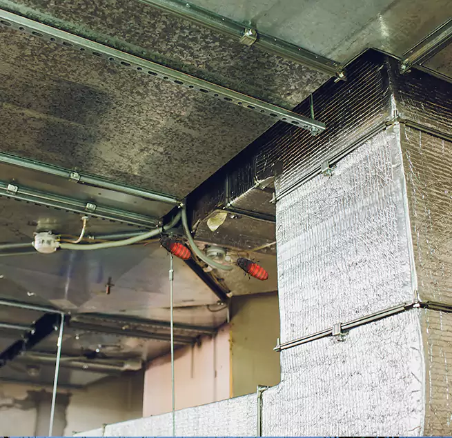 Why Homeowners & Businesses Trust Us in Bonita Springs, FL?