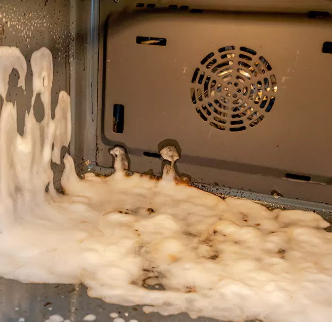 Why Homeowners & Businesses Trust Us in Bonita Springs, FL?