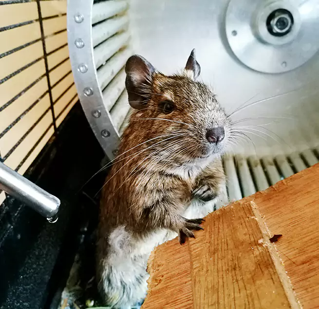 Why Homeowners & Businesses Trust Us Bonita Springs, FL