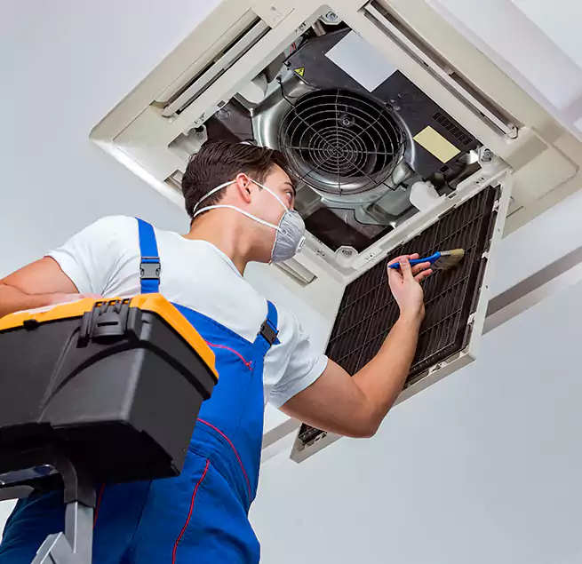 Why Homeowners & Businesses Trust Us in Bonita Springs, FL