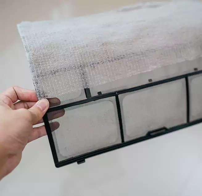 Why Homeowners & Businesses Trust Us in Bonita Springs, FL?